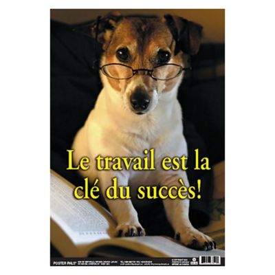 Image showing  French Educational and Language Teaching Fun Photo Posters