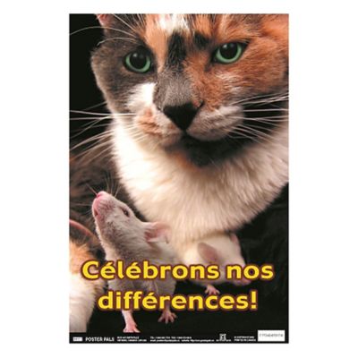 Image showing  French Educational and Language Teaching Fun Photo Posters