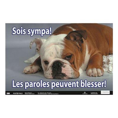 Image showing  French Educational and Language Teaching Fun Photo Posters