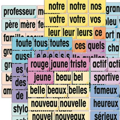 Image showing  French Educational & Language Teaching Adjective Vocabulary Card Phrase Posters