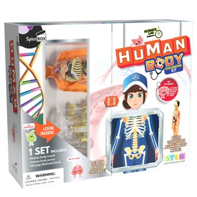 Science Lab Human Body Kit - Unveil the Marvels Within You