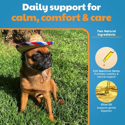 Image showing  Full Spectrum Hemp Tincture for Dogs and Cats, 500 mg, 2 oz.