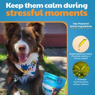 Image showing  Calming Hemp Soft Chewable Supplements for Dogs, 600 mg, 120 ct.