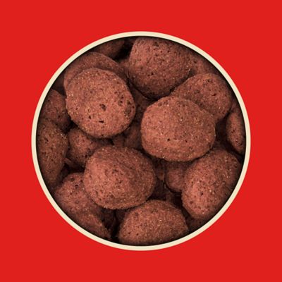 Image showing  Neigh Nibblers Crunchy Apple and Oat Horse Treats, 3 lb.