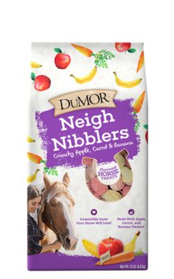 DuMOR Neigh Nibblers Crunchy Apple and Oat Horse Treats, 15 lb. Bag