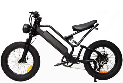 Image showing  Non-Fodable Electric Bike