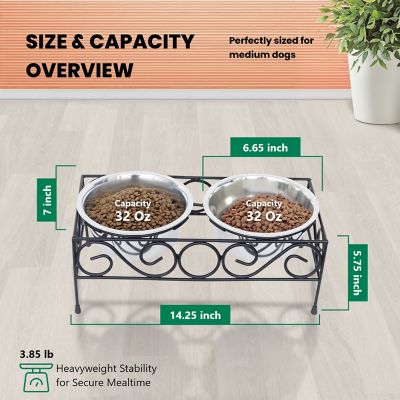 Image showing  Elevated Wired Pet Double Diner