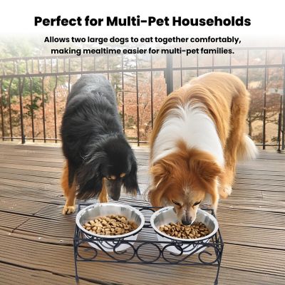 Image showing  Elevated Wired Pet Double Diner