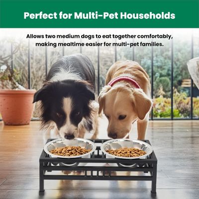 Image showing 8 th Iconic Pet Elevated Rectangular Double Diner Pet Bowl Set with 2 Bowls
