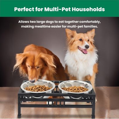 Image showing 9 th Iconic Pet Elevated Rectangular Double Diner Pet Bowl Set with 2 Bowls
