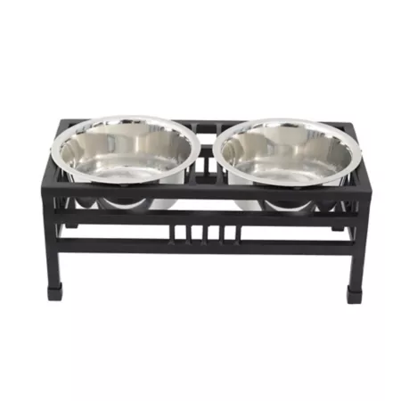 Iconic Pet Raised Rectangular Pet Bowl Set with 2 Bowls Elevated Bowls