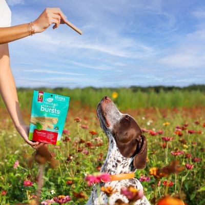 Image showing  Breath Bursts Peppermint Flavor Sticks Dog Dental Treats, 6 oz.