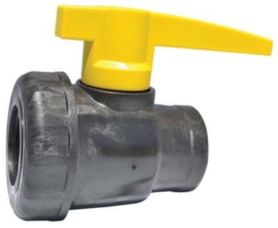 Green Leaf Inc. Ball Valve Poly 1 in. Female Npt