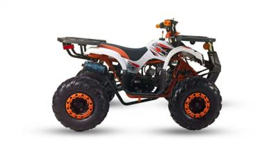 Image showing  ATV 125 All Purpose