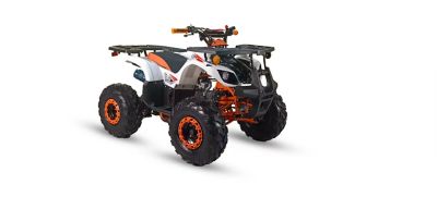 Image showing  ATV 125 All Purpose