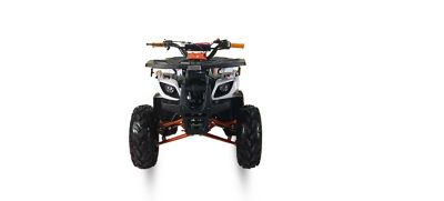 Image showing  ATV 125 All Purpose