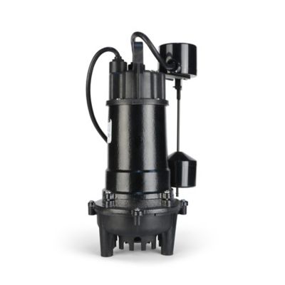 Image showing  1/2 HP 115V Electric Cast Iron/Thermoplastic Sump Pump with Vertical Switch, 5,100 GPH