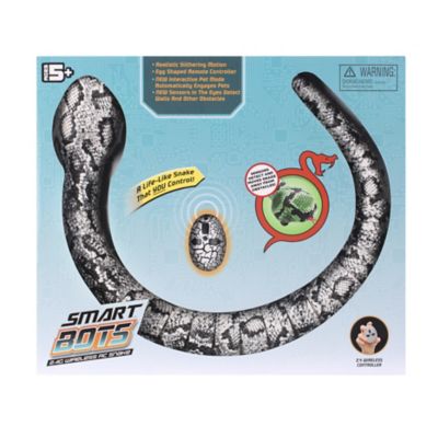 Image showing  2.4G Wireless Rc Snake