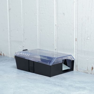 Image showing 8 th Victor Pest Multi Catch Mouse Trap
