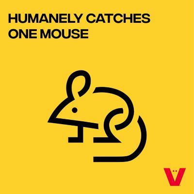 Image showing  Live Catch Mouse Trap, 1-Pack