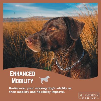 Image showing  Hip & Joint Support - 60 Chews