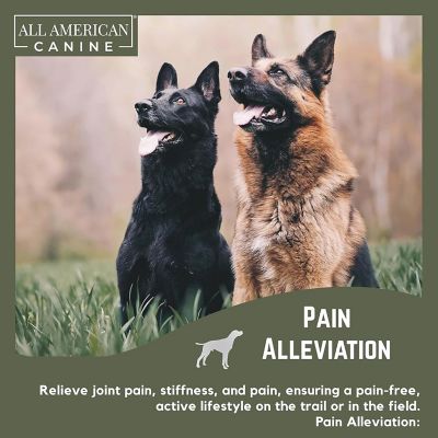 Image showing 5 th All American Canine Hip & Joint Support, 60 Chews