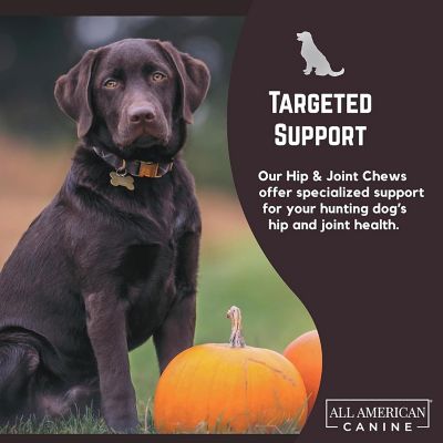 Image showing 6 th All American Canine Hip & Joint Support, 60 Chews