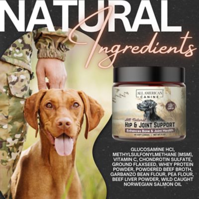 Image showing 8 th All American Canine Hip & Joint Support, 60 Chews