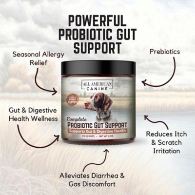 Image showing  Probiotic Gut Support - 90 Serving