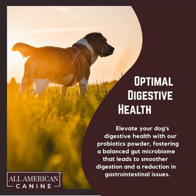 Image showing 5 th All American Canine Probiotic Gut Support, 90 Servings