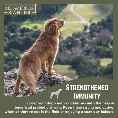 Image showing 7 th All American Canine Probiotic Gut Support, 90 Servings