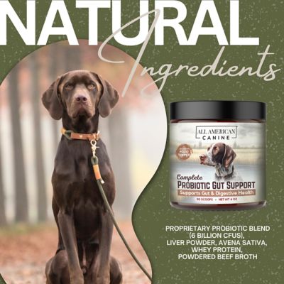 Image showing 8 th All American Canine Probiotic Gut Support, 90 Servings