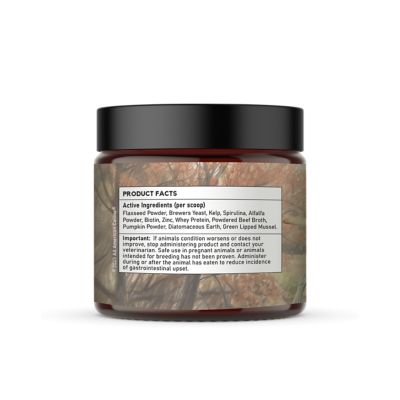 Image showing  Skin & Coat - 90 Serving