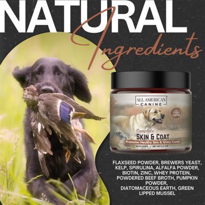 Image showing  Skin & Coat - 90 Serving