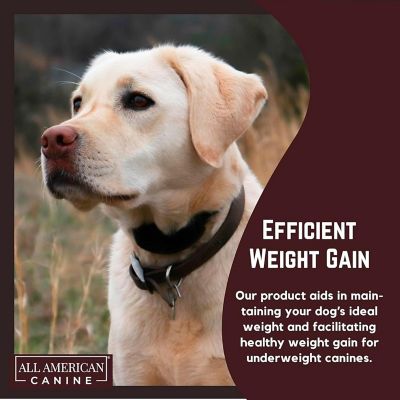 Image showing  Weight Gainer Powder Supplement for Dogs, 60 Servings