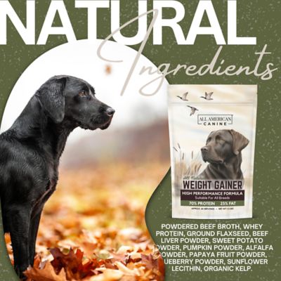 Image showing 7 th All American Canine Weight Gainer Powder Supplement for Dogs, 60 Servings