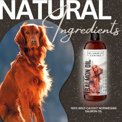 Image showing  Salmon Oil for Dogs, 16 oz.