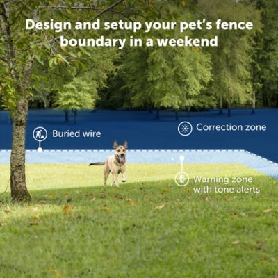 Image showing  1/3 Acre Basic In-Ground Fence, 2 Dog System