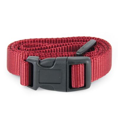 Image showing  Replacement Dog Collar Strap with 2 Holes, Red, 1 in.