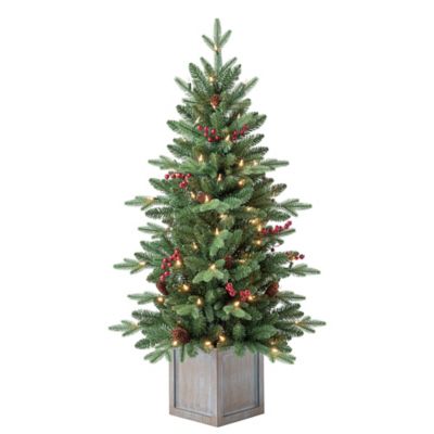 Red Shed 4 ft. Pre-Lit Daphne Potted Pine Fir Artificial Tree