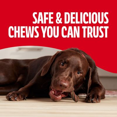 Image showing 5 th Milk-Bone Comfort Chews Dog Treats with Unique Chewy Texture and Real Beef, 40.8 oz. Bag, 16 ct.