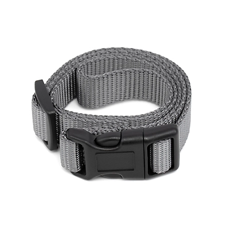 PetSafe 3/4 Replacement Collar Strap with no holes, Grey