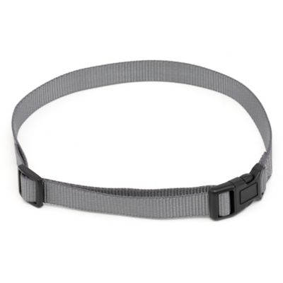 Image showing  3/4 Replacement Collar Strap with no holes, Grey