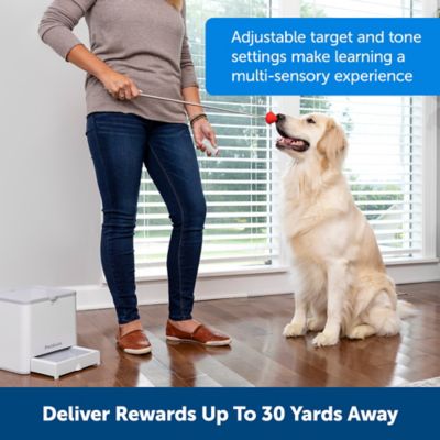 Image showing  Teach & Treat Remote Reward Trainer - Remote Treat Dispenser for Dogs - Portable Training Tool