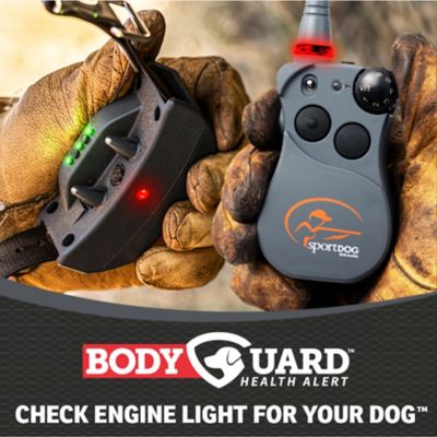Image showing  FieldSentinel 825 Remote 1/2-Mile Range Dog Training Collar