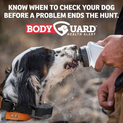 Image showing 6 th SportDOG FieldSentinel 825 Remote 1/2-Mile Range Dog Training Collar