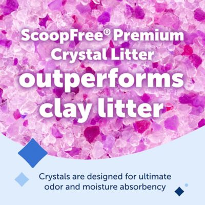 Image showing  ScoopFree Crystal Cat Litter Lavender