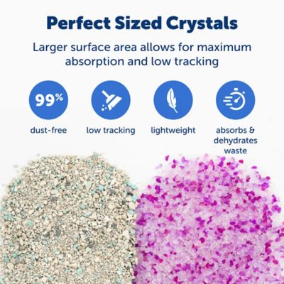 Image showing  ScoopFree Crystal Cat Litter Lavender