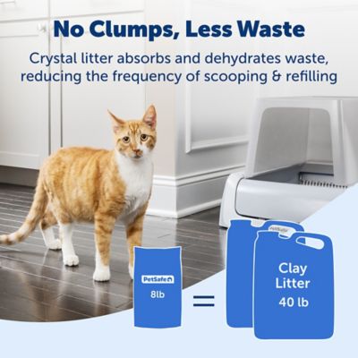Image showing 5 th PetSafe ScoopFree Scented Non-Clumping Crystal Cat Litter Bag