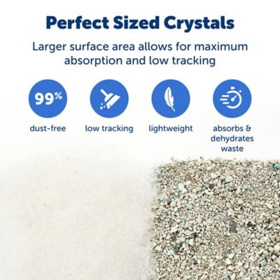 Image showing  ScoopFree Sensitive Crystal Litter, 2-Pack